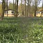Hollicarrs - Stag York