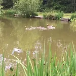 Hollicarrs - Stag * York