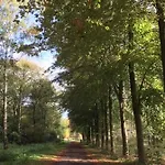 Hollicarrs - Stag Lodge *