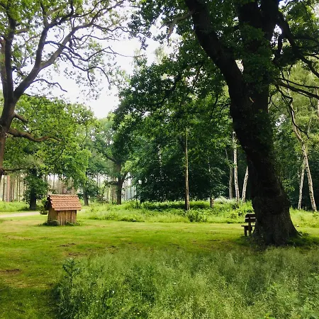 Hollicarrs - Stag