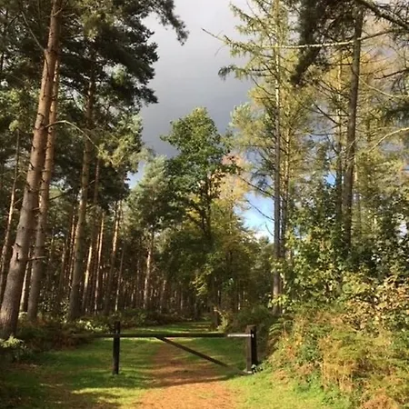 Hollicarrs - Stag Lodge