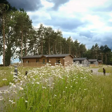 Lodge Hollicarrs - Stag