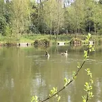 Hollicarrs - Stag