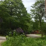 Hollicarrs - Stag
