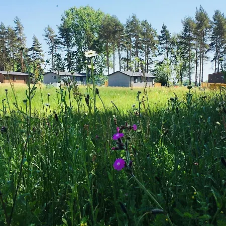 Domek letniskowy Hollicarrs - Stag