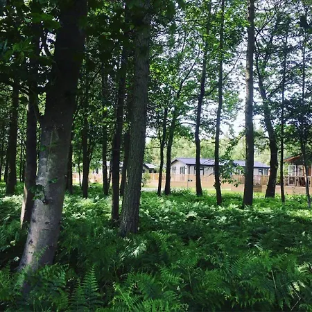 Domek letniskowy Hollicarrs - Stag *