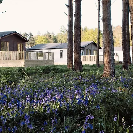 Domek letniskowy Hollicarrs - Stag *