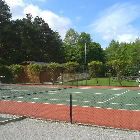 Hollicarrs - Stag York