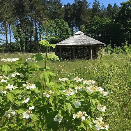 Domek letniskowy Hollicarrs - Stag York