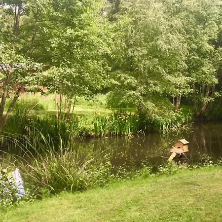 Hollicarrs - Stag Domek letniskowy *