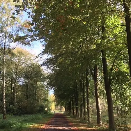 Hollicarrs - Stag Domek letniskowy *