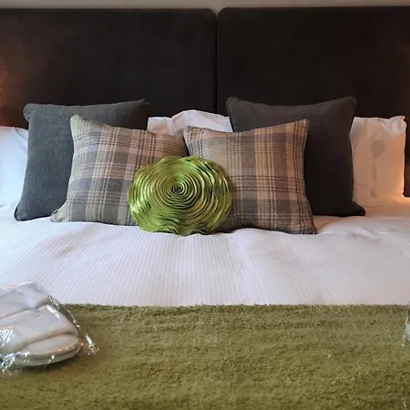 Domek letniskowy Hollicarrs - Stag *