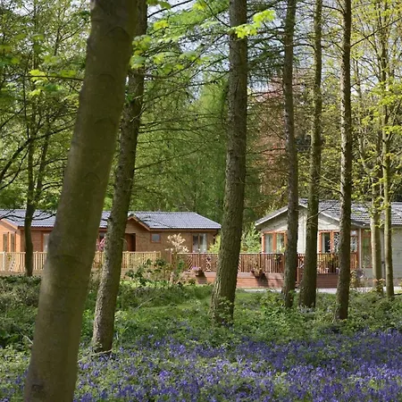 Hollicarrs - Stag Domek letniskowy York